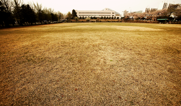 Soccer field among sports facilities of KICTE