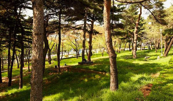 Outdoor rest area among relaxation of KICTE